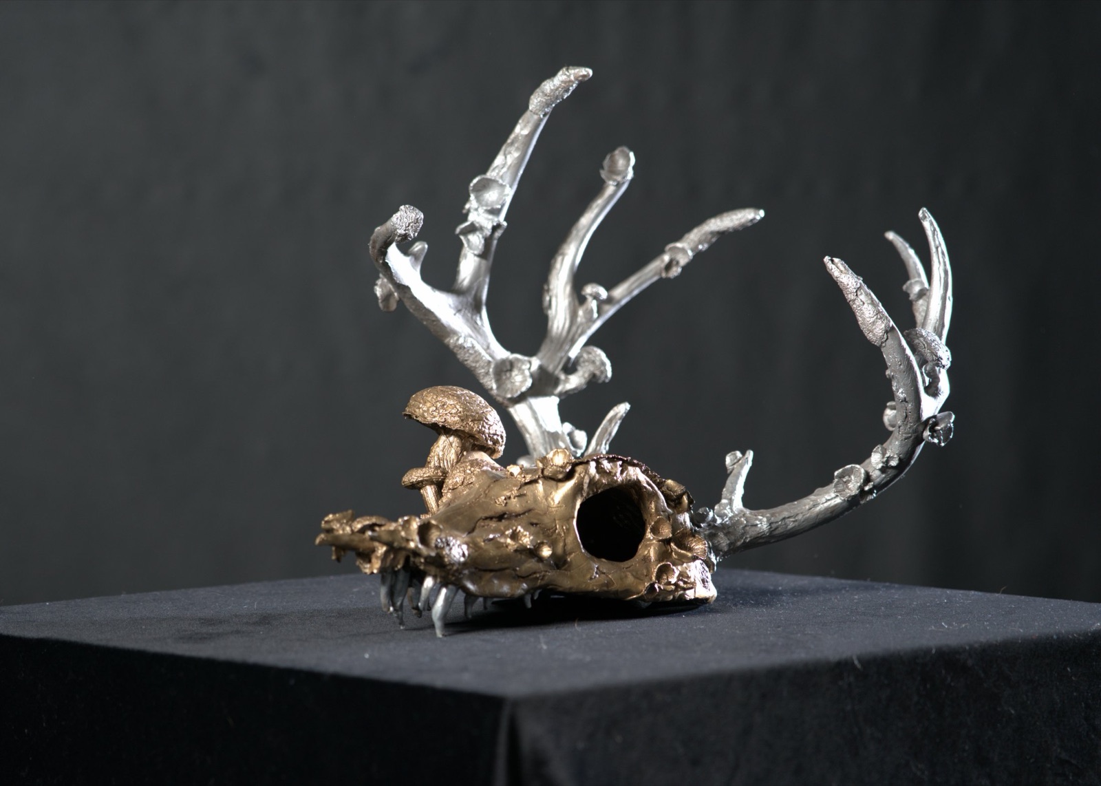 Reliquary — cast metal deer skull sculpture